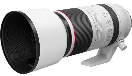 CANON - RF 100-500mm F4.5-7.1 L IS USM Lens
