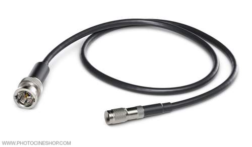 Blackmagic Design - DIN 1.0/2.3 to BNC Male Adapter Cable