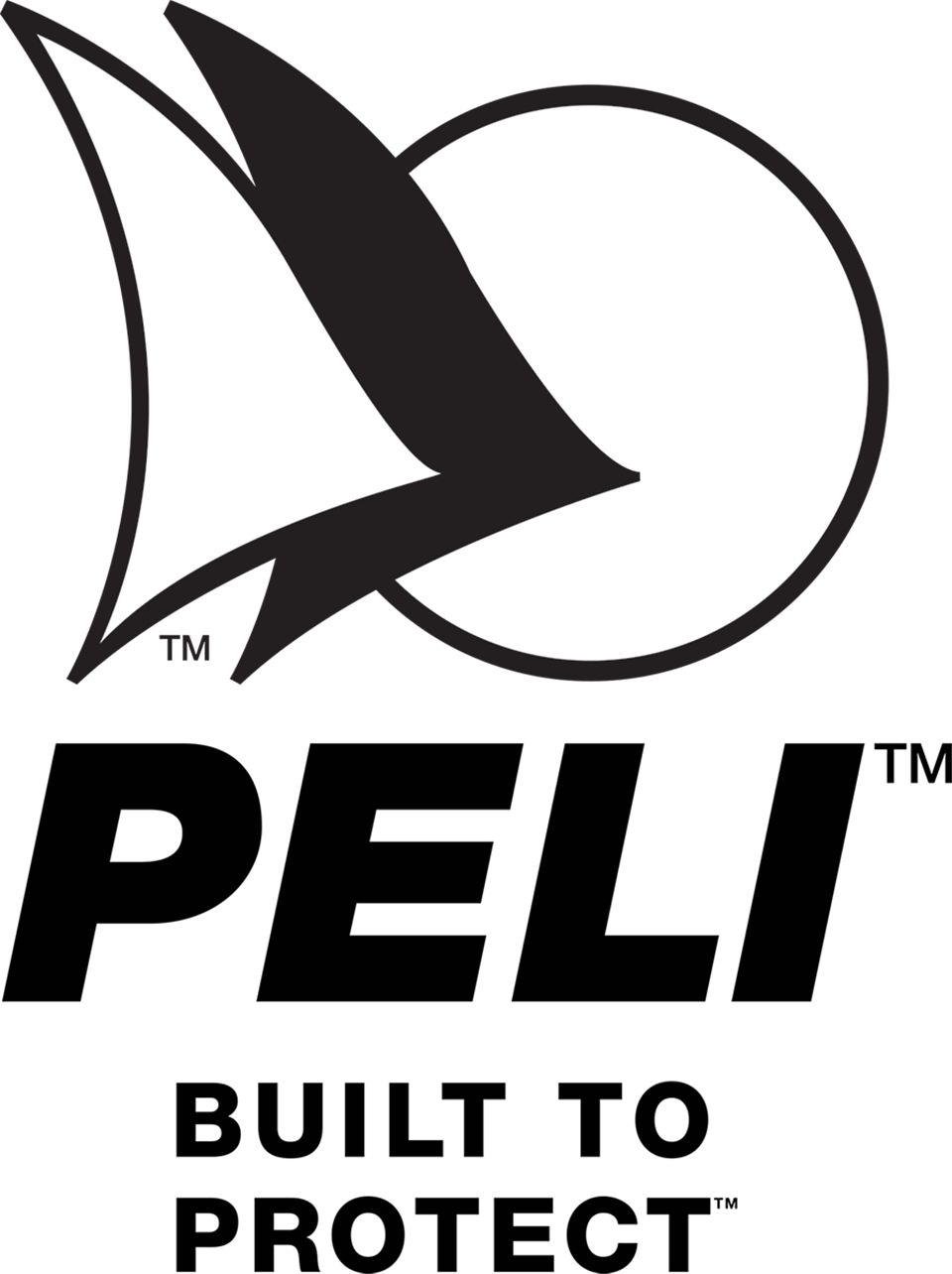 PELI™ - 1560 Case with foam (black)