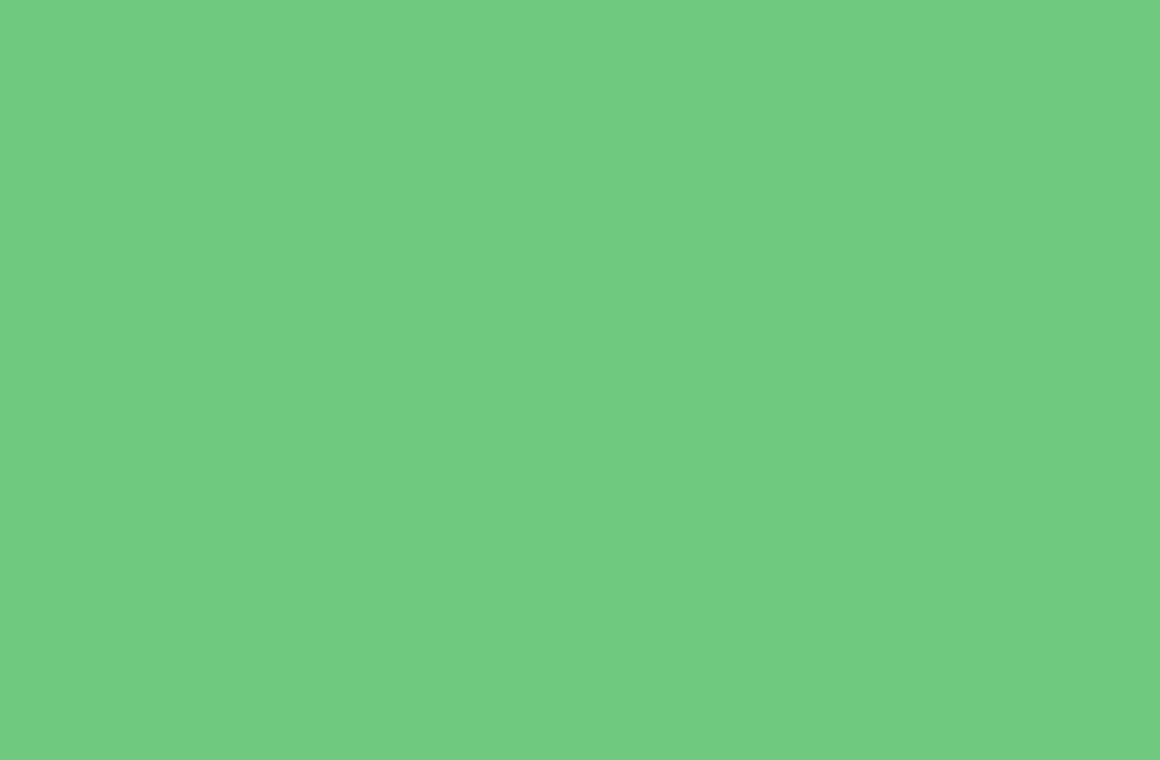 COLORAMA - 1,35x11m SUMMER GREEN