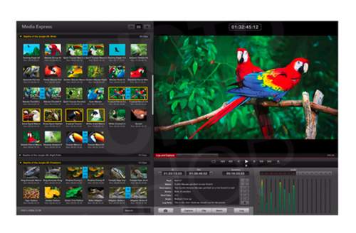 BLACKMAGIC DESIGN - DeckLink Studio 4K