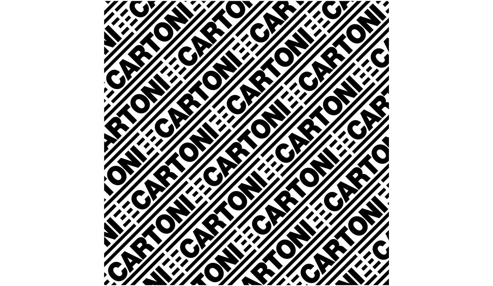 CARTONI - C910 - Fly case for  HD  tripods