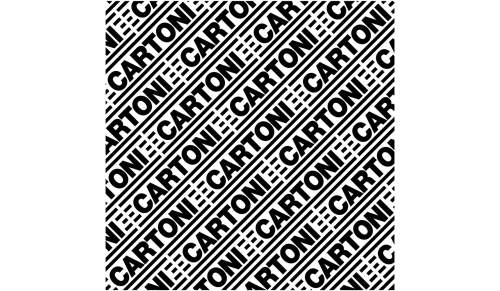 CARTONI - C910 - Fly case for  HD  tripods