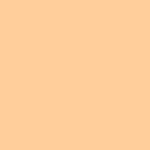 ROSCO - E-Colour+ 442 Half CT Straw - 1.22x7.62M