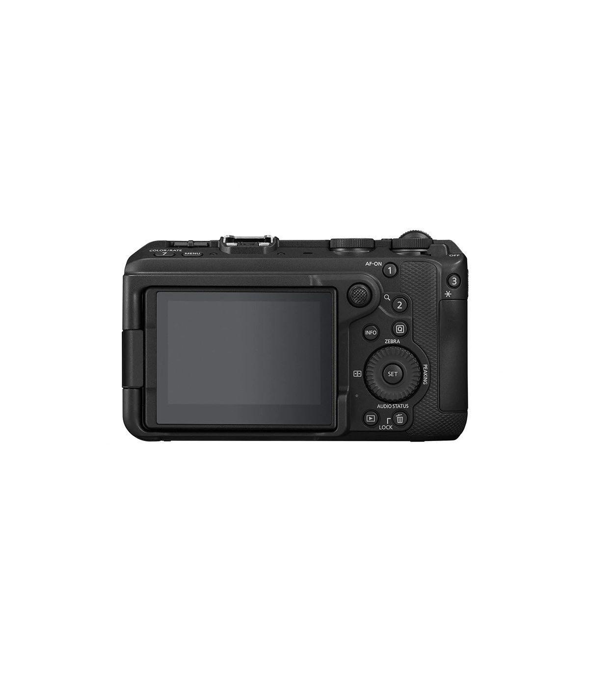 CANON EOS R6 V + RF 20-50 mm f/4 L IS USM PZ