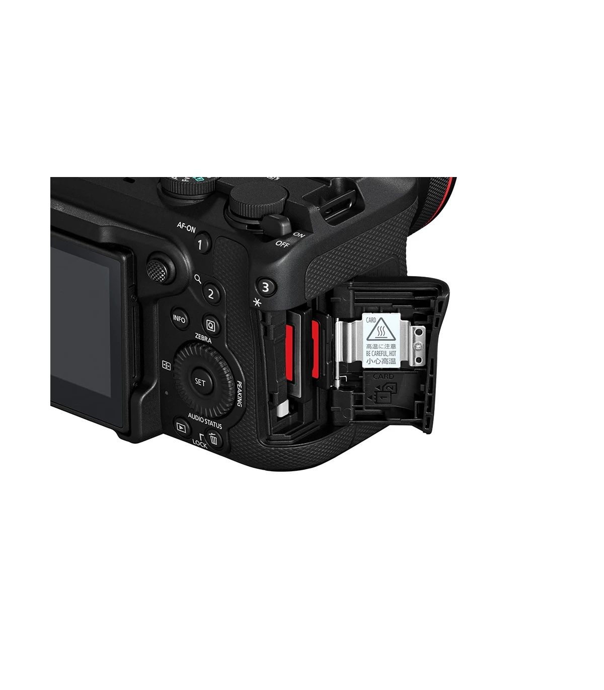 CANON EOS R6 V + RF 20-50 mm f/4 L IS USM PZ